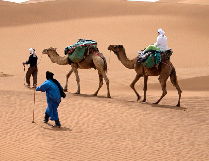 Herausforderung Wüste - Sinnsuche in der Sahara sur SWR-Fernsehen