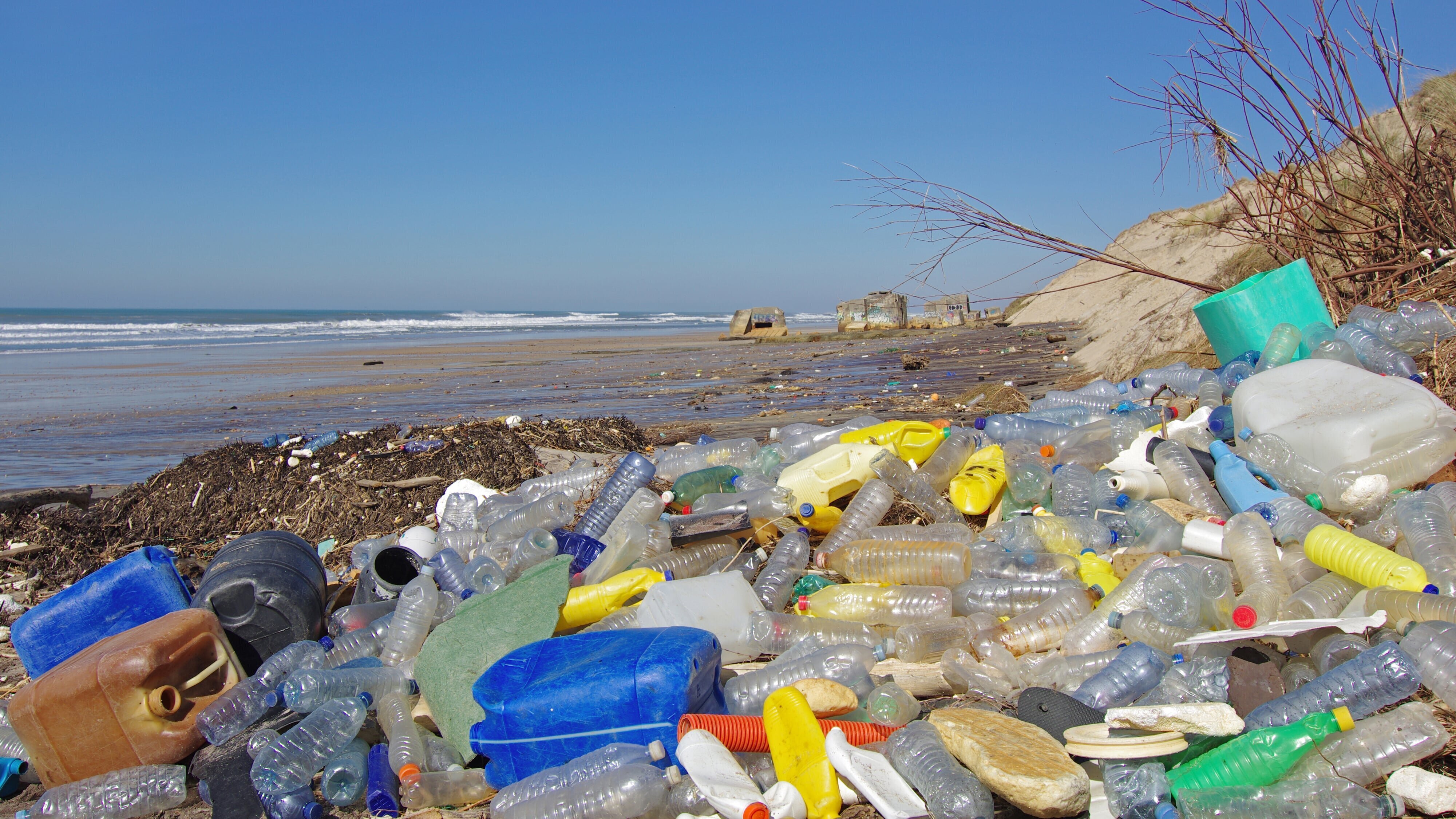 Re: Seniorinnen gegen Schweizer Klimapolitik