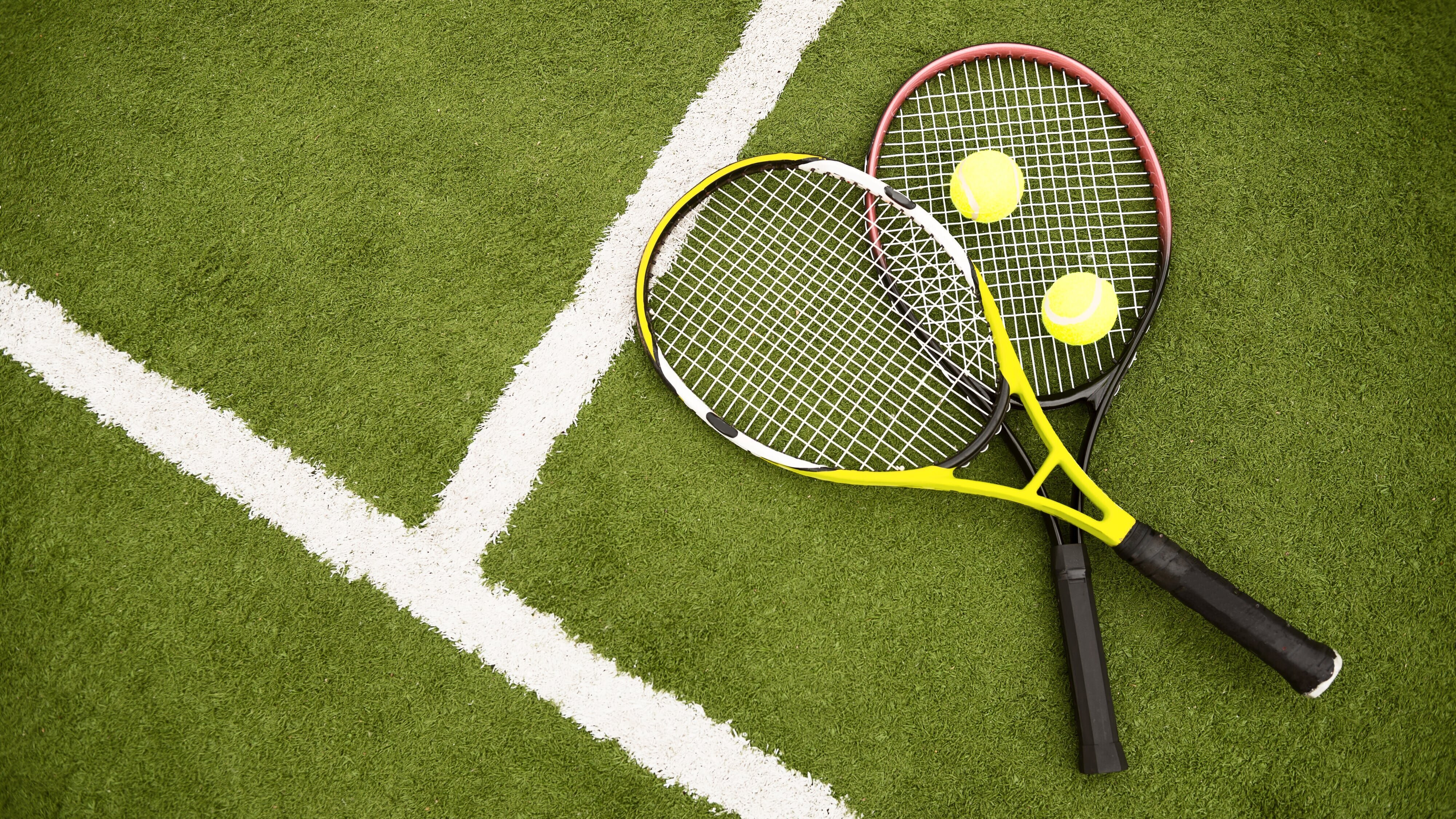 Tennis Erste Bank Open Wien 2024