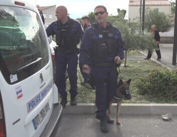 Regarder 100 jours avec la police municipale de Perpignan en direct