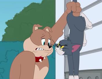 Regarder Tom et Jerry Show en direct