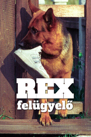 Rex felügyelő