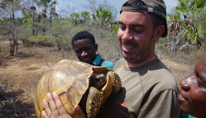Мадагаскар: торговля клювогрудыми черепахами