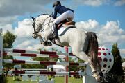 Springreiten: Weltcup