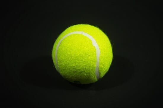 Tennis: Davis Cup