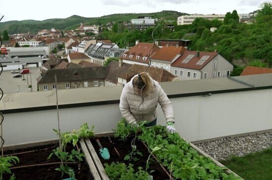 Sehnsucht nach Natur –...