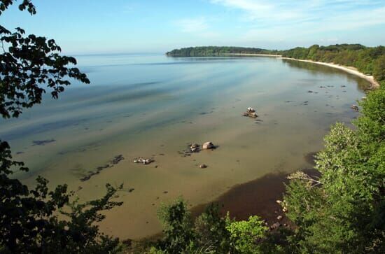 Wilde Ostsee