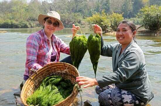 Willkommen am Mekong