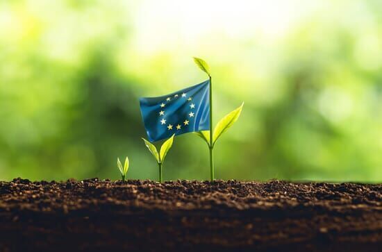 Green Deal – Kann Europa...