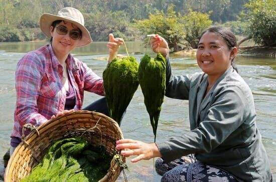 Willkommen am Mekong