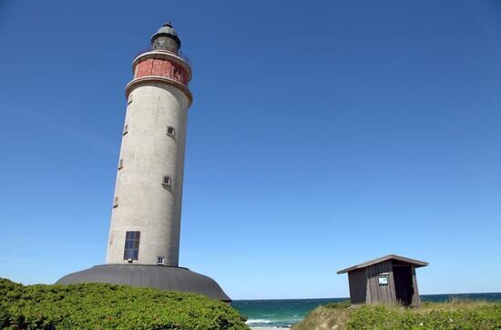 Wilde Ostsee