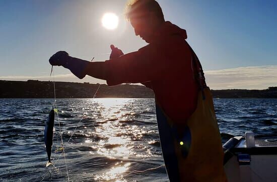 Cornwall: This Fishing...