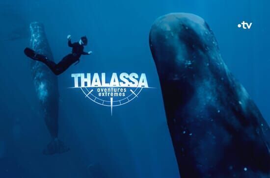 Thalassa, aventures...