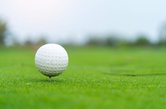 Golf : Open de Phoenix
