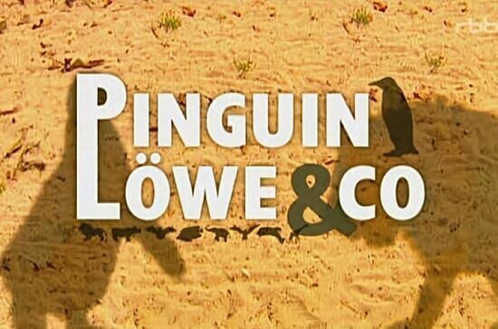 Pinguin, Löwe & Co.