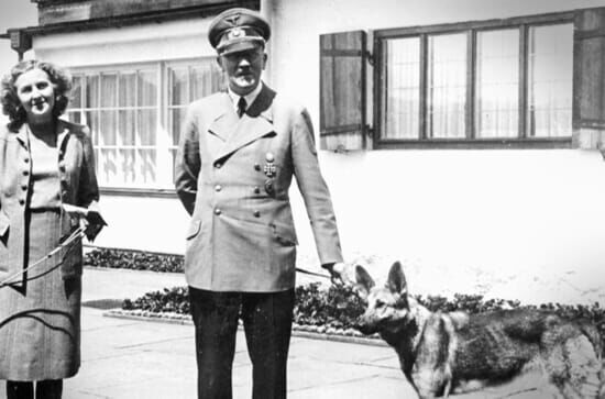 Hitler und der Wolf –...