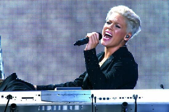 P!Nk: The Truth About...