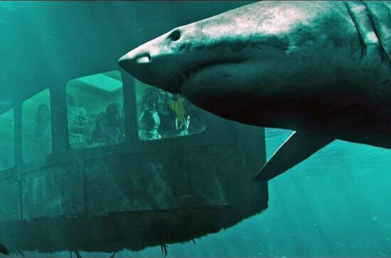 47 Meters down: The next...