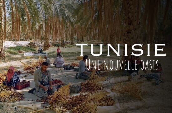 Tunesien – Eine Oase für...