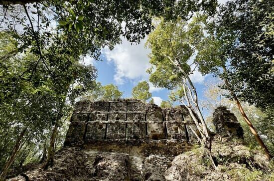 Naachtun, le royaume maya...