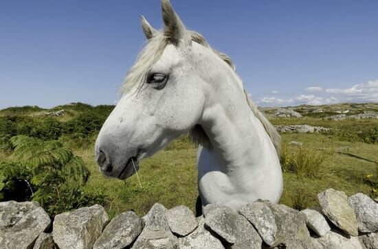 Irlande, une balade en...