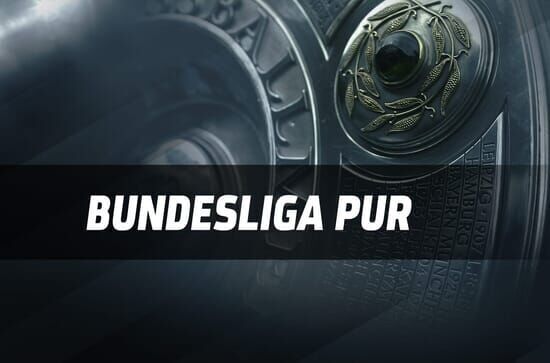 Bundesliga pur