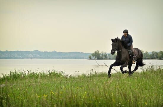 Die Toten vom Bodensee – Der Blutritt