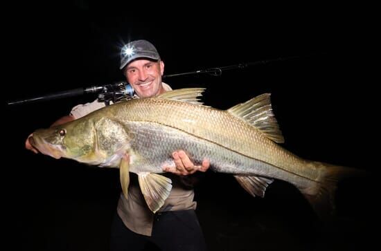 Giganten unter Wasser – Riesenfischen auf der Spur