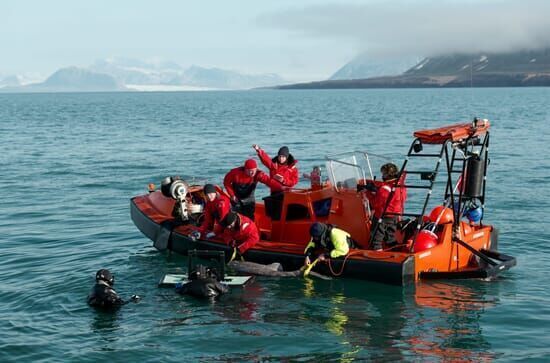 OceanXplorers – Geheimnisse der Ozeane