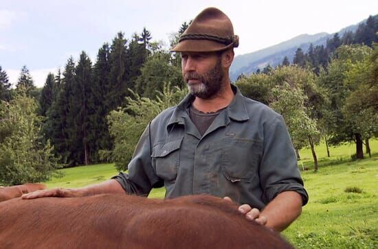 Alpenrinder – Von Sprinzen und Jochberger Hummeln