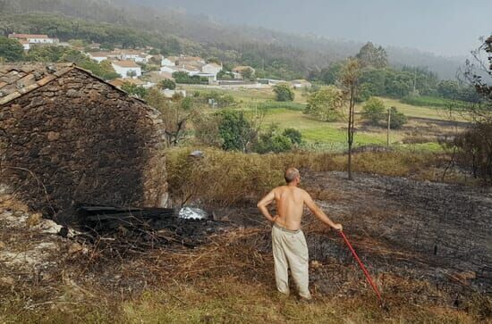 Vom Feuer bedroht – Waldbrand in Portugal