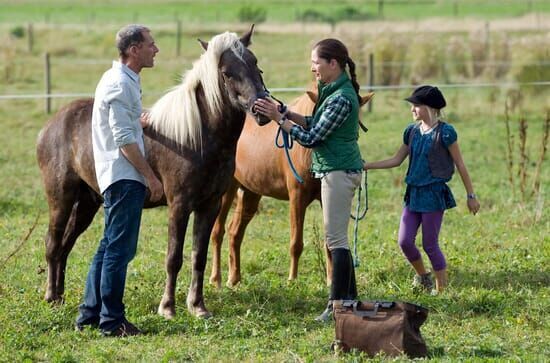 Tiere bis unters Dach