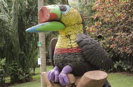 Toucan Nation – Die Tierschützer von Costa Rica