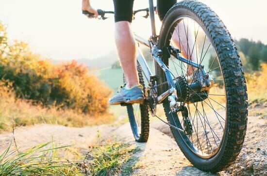 Mountainbike: Weltmeisterschaften