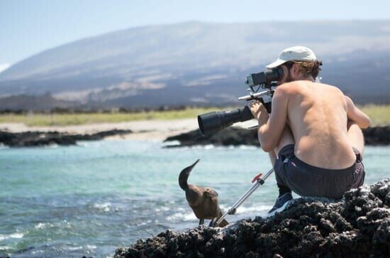 Galapagos