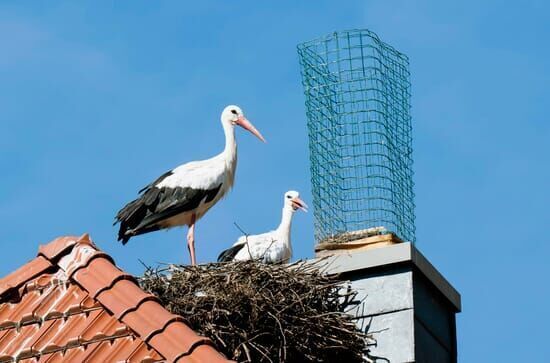 Hofgeschichten – Ackern zwischen Alpen und Ostsee