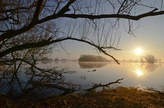 Die Elbe