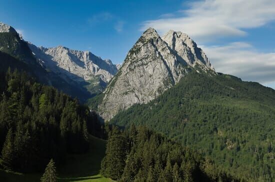 Wilder Frühling – Tierische Liebe zwischen Oberrhein und Zugspitze