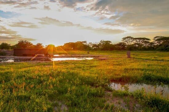 Wasserlöcher – Oasen für Afrikas Fauna