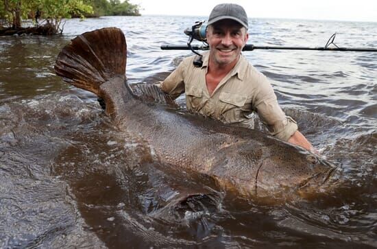 Giganten unter Wasser – Riesenfischen auf der Spur