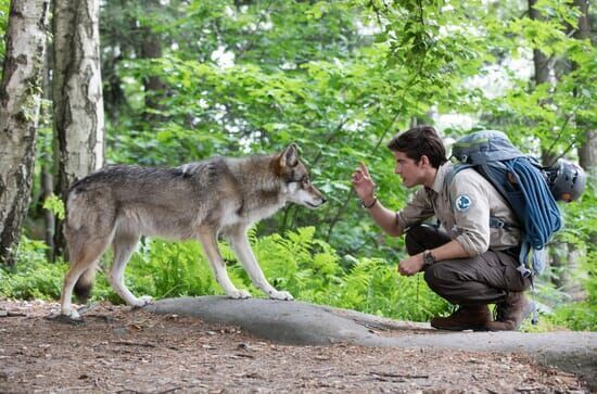 Der Ranger – Paradies Heimat: Wolfsspuren