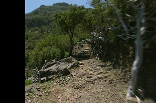 Inselwandern auf Madeira