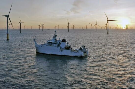 Windparks im Meer – Chance oder Risiko für die Natur?