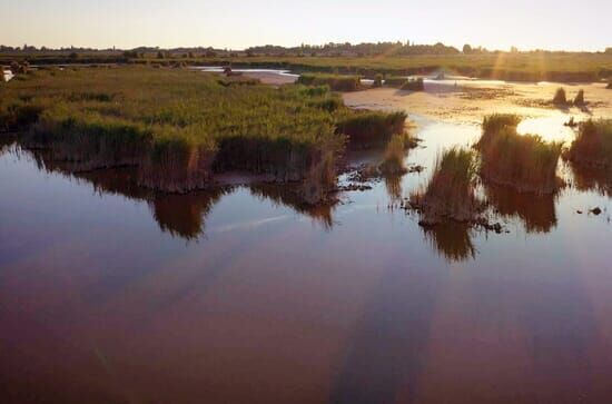 Nationalpark Neusiedler See-Seewinkel – Ein Naturjuwel im Wandel