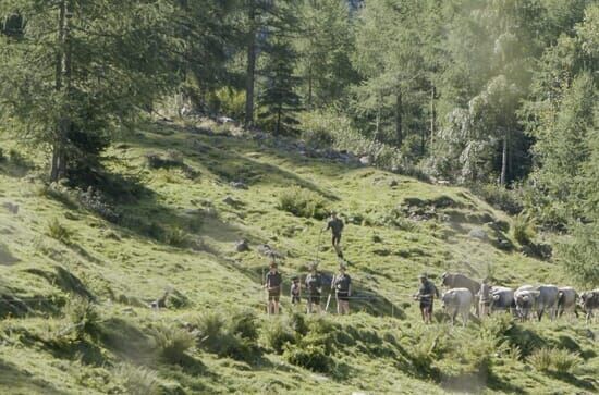 Land der Äcker – Die Bauern und die Politik