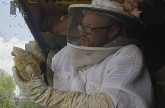 König der Bienen