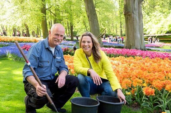 Romantisches Holland – Zwischen Tulpenpracht und Königskrone