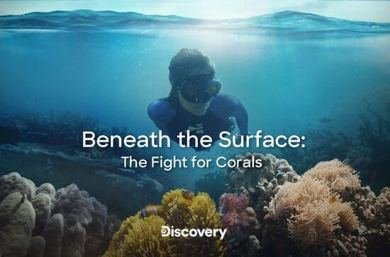 Am Meeresgrund – Im Einsatz für Korallen