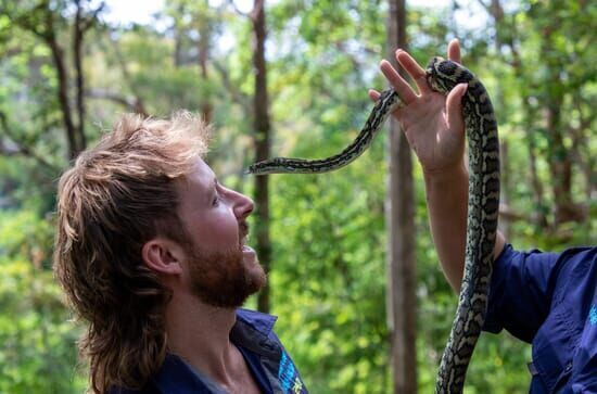 Snake Security – Schlangenalarm in Australien