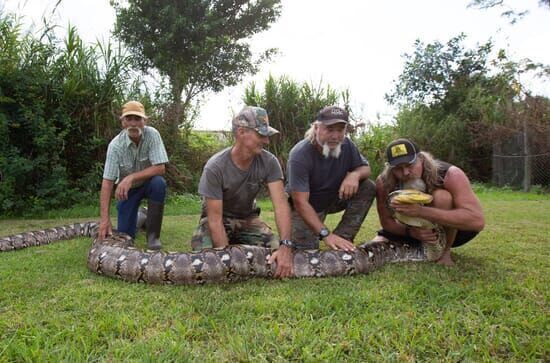 Die Pythonjäger – Einsatz in den Everglades